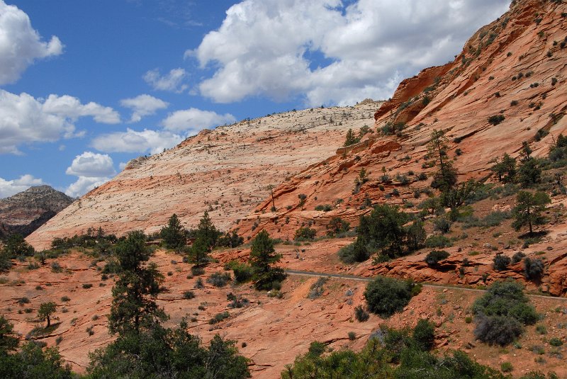 2011-07-13_Zion Canyon-Tag18_015.jpg